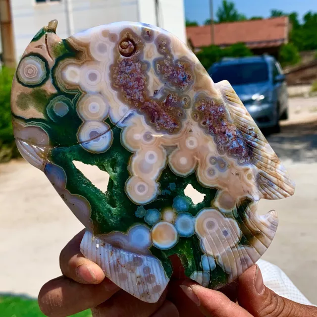 239G Amazing Natural Ocean Jasper Crystal Carved Fish Jasper Halo Stone