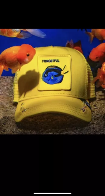 GOORIN BROS FORGETFUL Dory Limited Drop Sold Out Trucker Hat Friday $90 ...