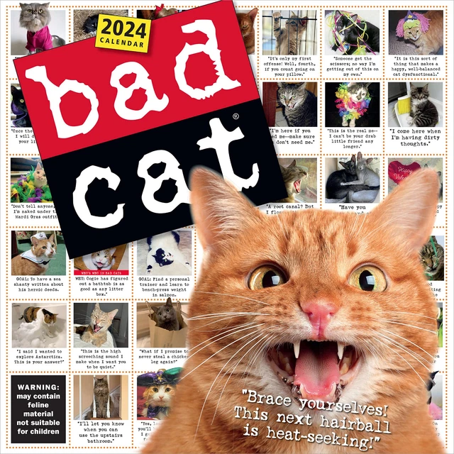 WORKMAN BAD CAT 2024 Wall Calendar w 16.99 PicClick