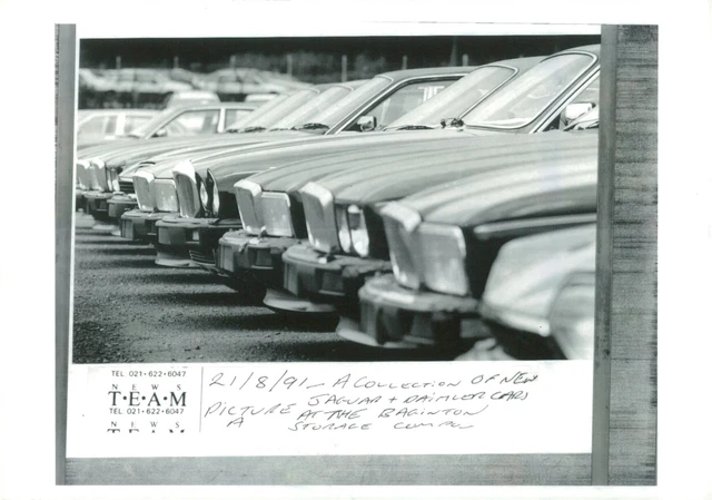 Motor car jaguars. - Vintage Photograph 1475915