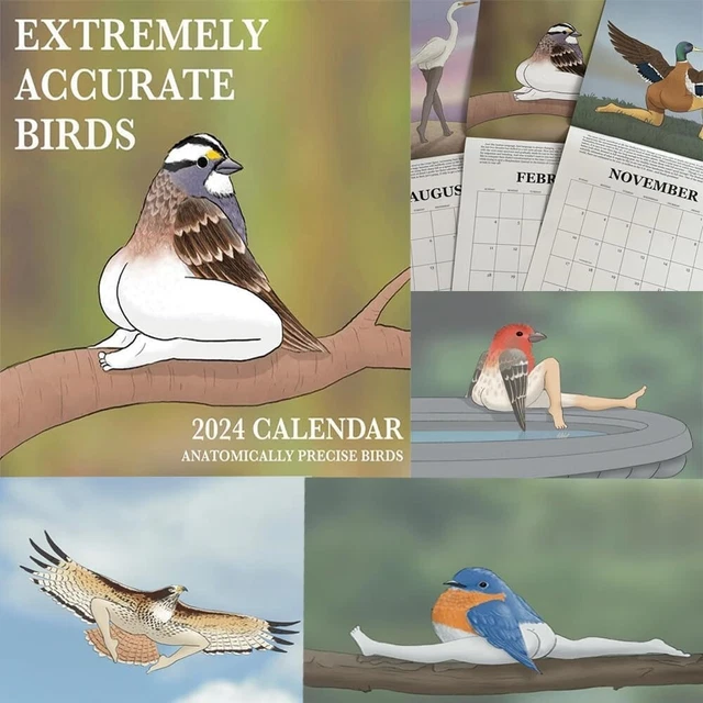 2024 CALENDAR OF EXTREMELY ACCURATE BIRDS 2024 Bird Calendar Wall