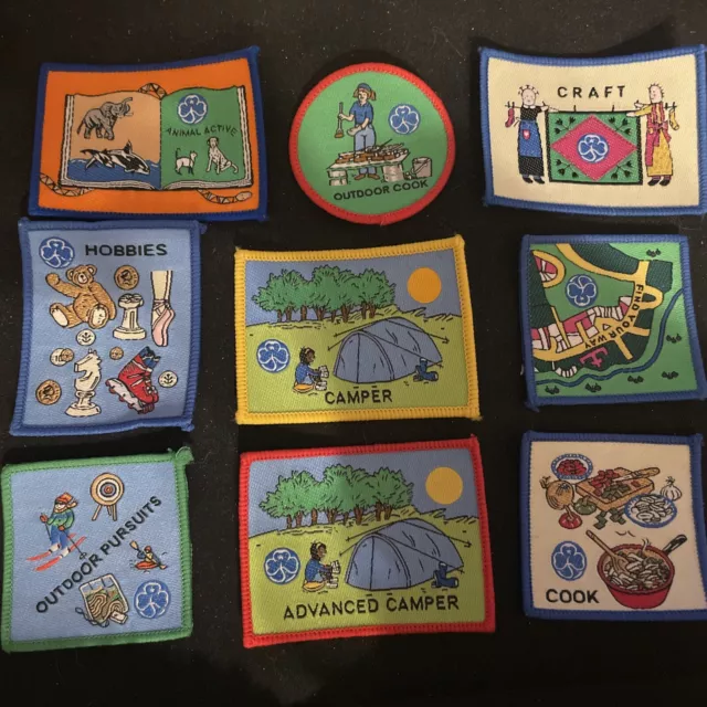 GirlGuiding Guide Obsolete Interest Badge - Assorted, Old Trefoil X9