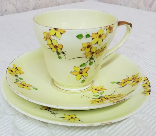 Foley China Cup Saucer and Small Plate Set Pale Yellow Colour Floral Decoration 2