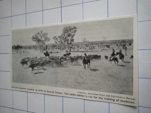 Aborigines Stockman Aufrundung Vieh Beswick Station 1960