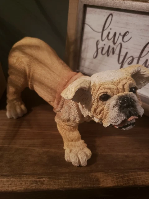 Realistic Bulldog Resin