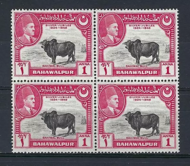 Pakistan 1949 Sc# 25 Silver Jubilee Sahiwal bull Baffalo block 4 MNH
