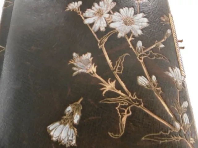 Album photos ancien - décor fleurs et insecte gravés sur le premier plat 3