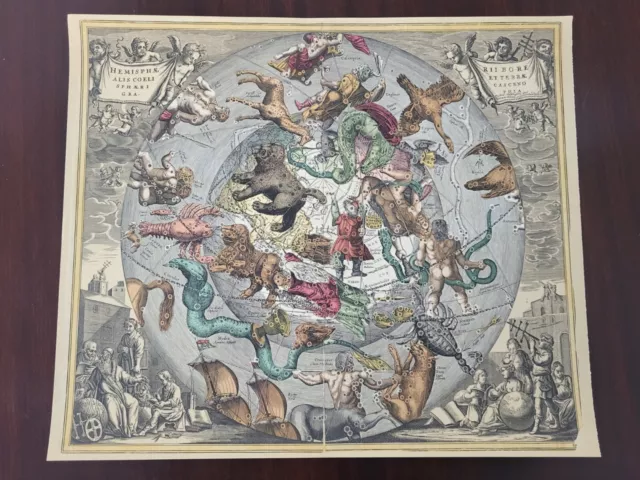 HEMISPHAE ALIS COELI  Astrologie Sternenkarte Bild antik Schenk Kupferstich Druc