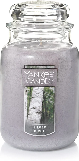 Yankee Candle Silver Birch Scented, Classic 22Oz Large Jar Single Wick Candle, o