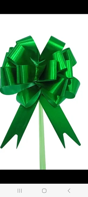 10x Fiochi Pull - Verde 18 mm Fiorista Fiorista Nastro Auto Pompompom Matrimonio