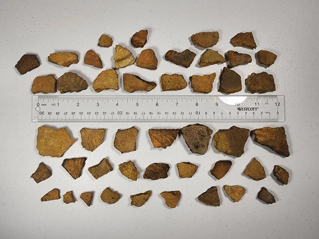 RARE ORIGINAL Cape Fear River Indian Pottery Shards Siouan Waccamaw 40+ pieces