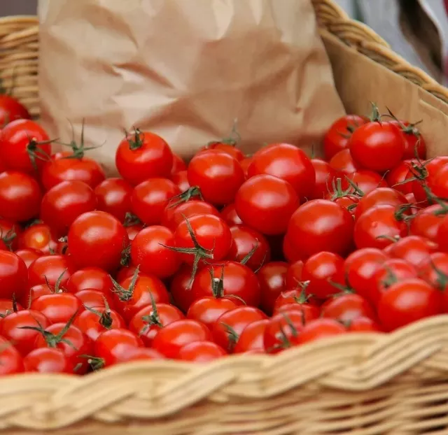 ☺100 graines de tomates cerises