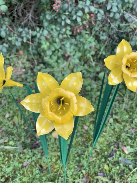 Narzisse Blume Garten Pfahl Ornament Rasen Metall Geschenk schrullig