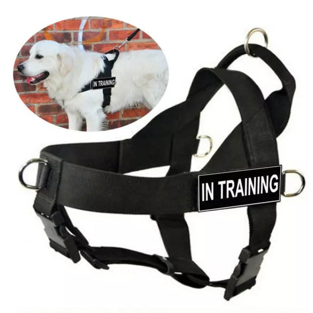 Service Dog Harness Vest w/ Handle Removable patches for Medium Large Dogs