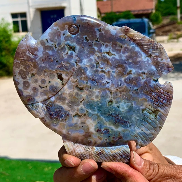 244G  Amazing Natural Ocean Jasper Crystal Carved Fish Jasper Halo Stone