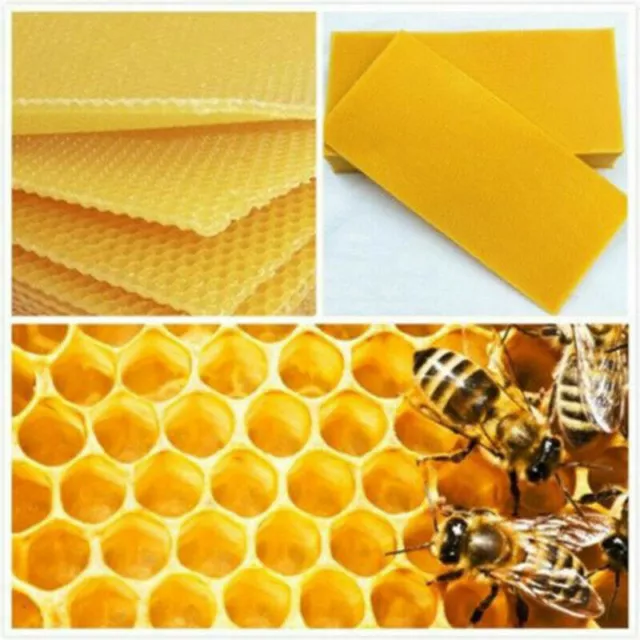 10Pcs Honeycomb Bee Wax Foundation Honey Hive Equipment Bee Honey Sheets Tool