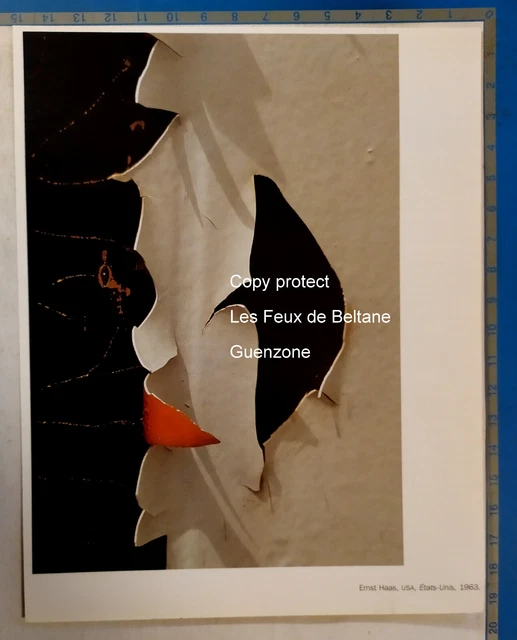 Ernst HAAS USA Photo Document Print Takeoff Painting