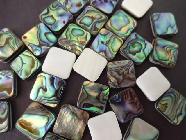 Natural Abalone Shell Cabochons Paua Seashell Cabs Green Iridescent Square Shell