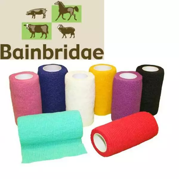 Bainbridge Cohesive Bandage Vet Wrap 10cm x 4.5m Great Value Horse Bandages x 6