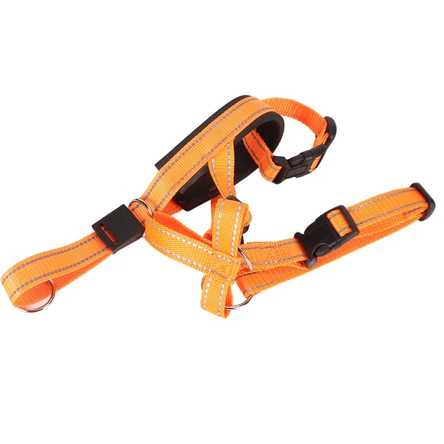 Collare Testa Cane Muso Regolabile Controllo Frontale Design Supporto Testa Cane Muso