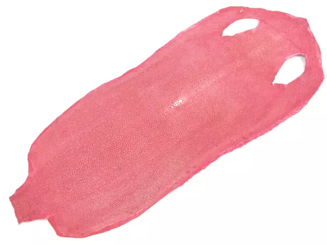 PELGIO Genuine Polished Stingray Skin Leather Hide Pelt Pink Grade A 3