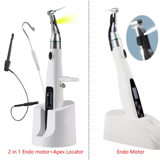 Dentale Wireless LED Endo Motor / 2 in 1 Endo Motor Built in Apex Locator Root