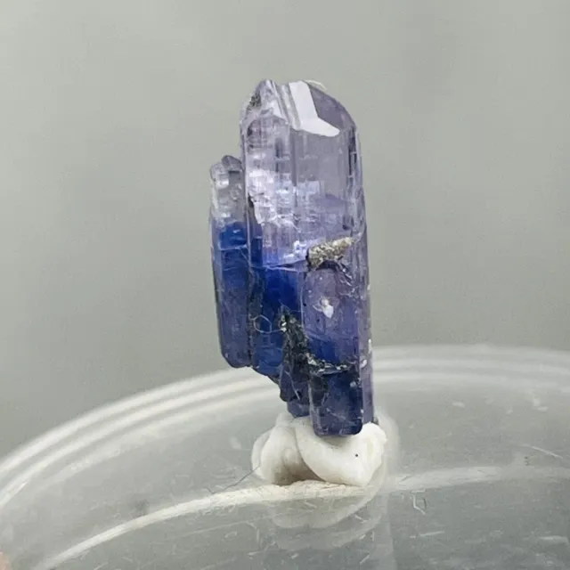 .50g Tanzanite Crystal Heated Blue Purple Rough Specimen 13.07mm