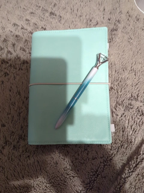 Filofax 22514 Organizer Personal Domino türkis als Budgetplaner 12 Monate L@@k