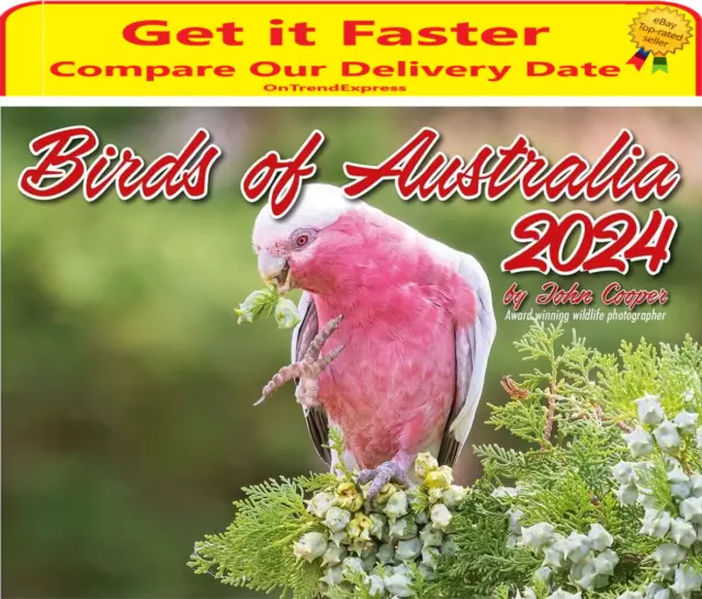 2025 BIRDS OF Australia 12 Months A4 Wall Calendar 297 x 210mm by John
