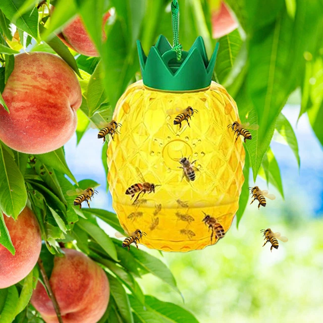 2 pezzi trappola per api cattura vespe stampo appeso per frutta controllo parassiti per d