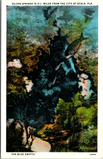 Silver Springs is 5 Miles From Ocala Florida The Blue Grotto FL Vtg Postcard