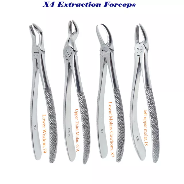 Extraction Racines Forceps Inférieur Wisdom Supérieur Troisième Molaire Cowhorn