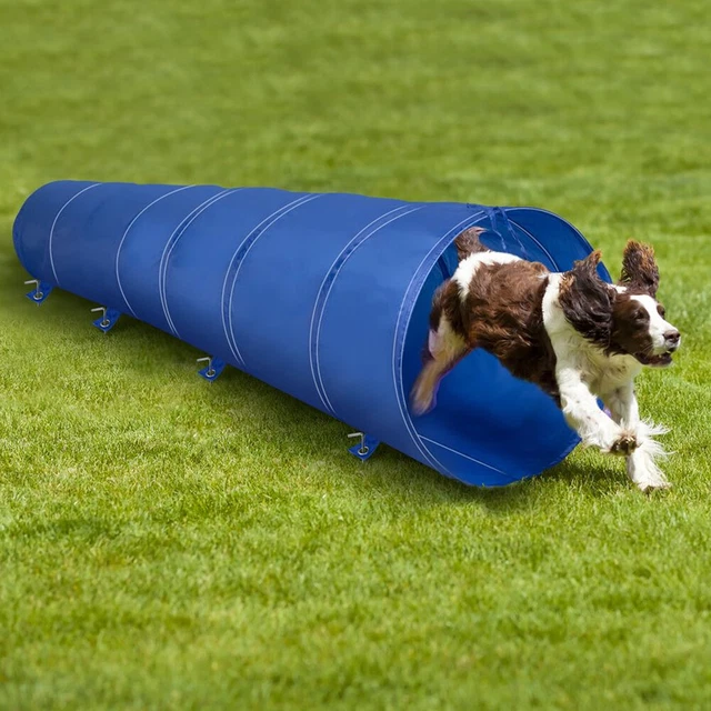 Tunnel Gioco Addestramento Cani Gatti Animali Cinofilo 3 Metri Giochi di Agilità