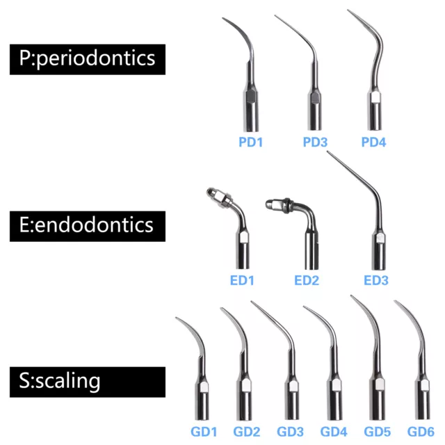 5pcs Dental Scaling Endo Perio Tips for DTE SATELEC Ultrasonic Scaler E P G