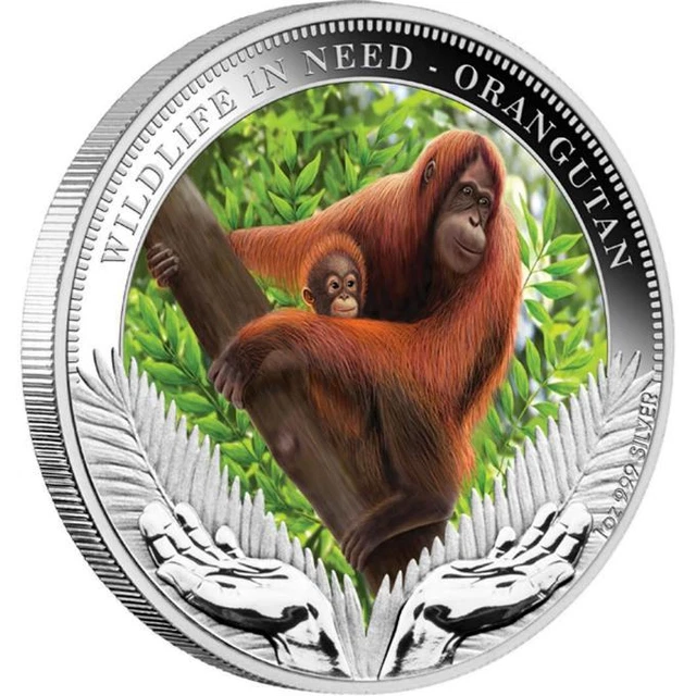 Tuvalu 2011 Orangutan Dollar 1oz Colour Silver Coin,Proof