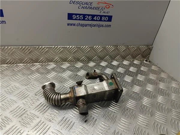 Joint De Refroidisseur EGR Pour Renault Scénic 4 1.6 DCI – Référence 206915788R, Neuf D'origine