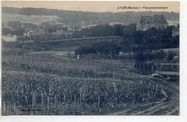 AVIZE - Marne - CPA 51 - les vignes - vue panoramique