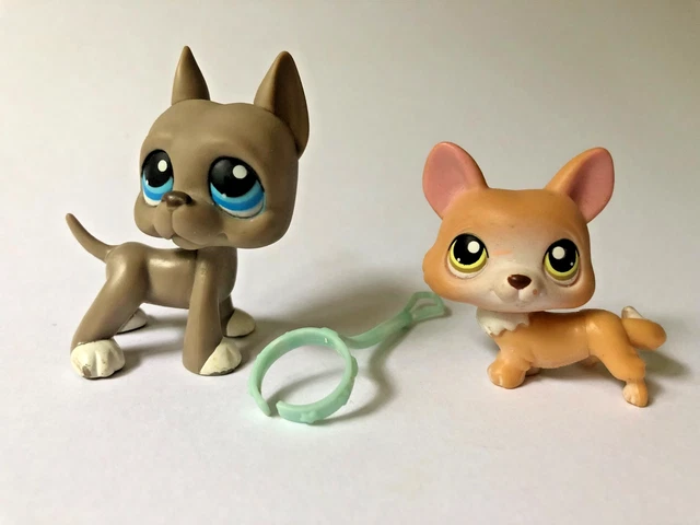 Figurine Littlest Pet Shop Hasbro - Chien Danois Dogue Argentin N°1519 - Occasion