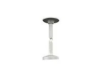 LevelOne Camera mount pendant mountable white for LevelOne FCS-3085 CAS-7317