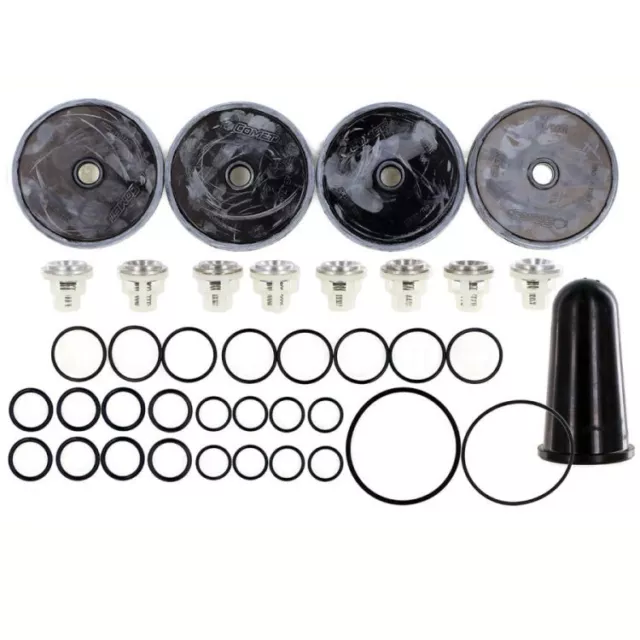 Comet 5026.0087 Repair Kit for APS96 Diaphragm Pump