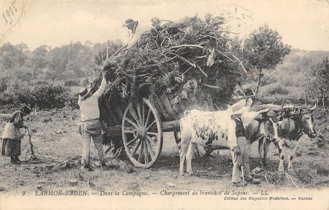 Cpa 56 Larmor Baden In The Countryside Loading Fir Branches / Agriculture