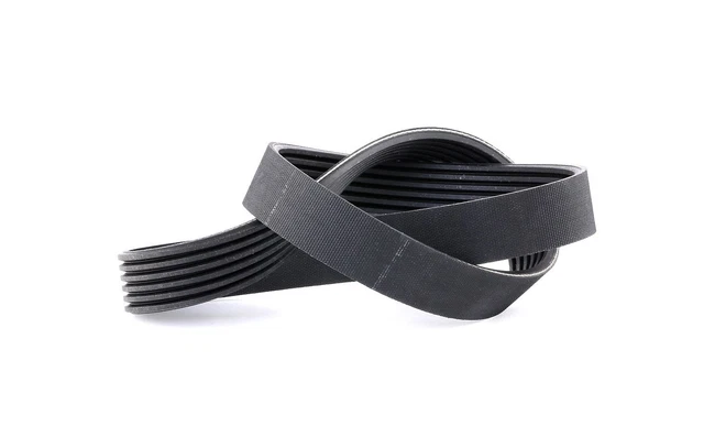 FEBI BILSTEIN COURROIE Poly-V Courroie d'accessoire 28894 pour VW GOLF ...