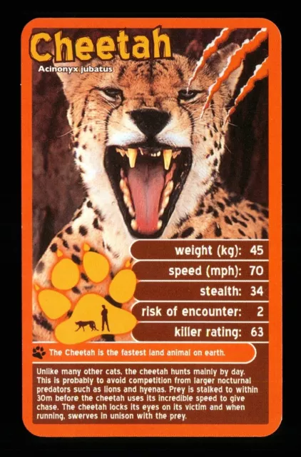 1 x info card deadliest predator Cheetah - R114