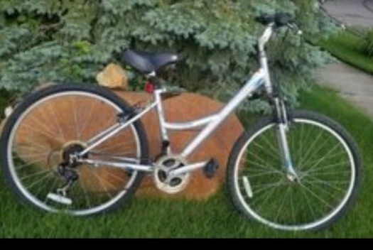 women's nishiki tamarack hybrid bike