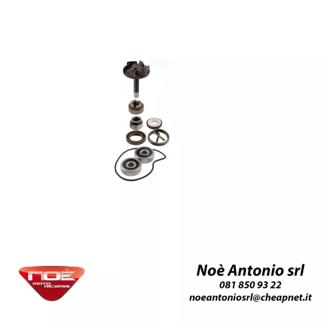 Kit revisione pompa acqua Piaggio Beverly 250cc 2004/2005 cod 1024 100110220 rms