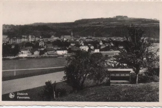 CPA - DIEKIRCH - Panorama (Luxembourg)