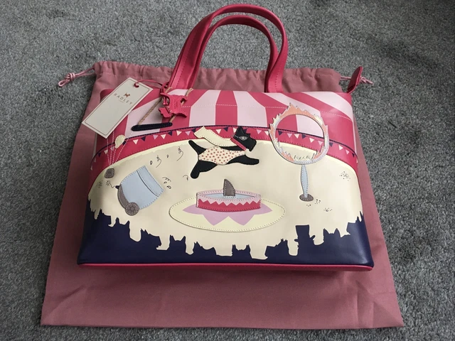 RADLEY SIGNATURE Picture Bag Through The Hoop 2011 New with