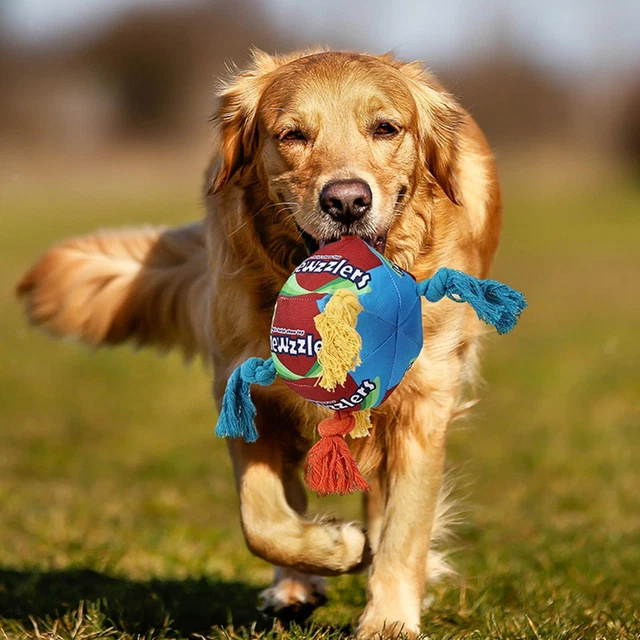 Sniff Ball for Dogs, Pet Sniffing Ball Toy, Puppy Chew Toys Portable Interactive