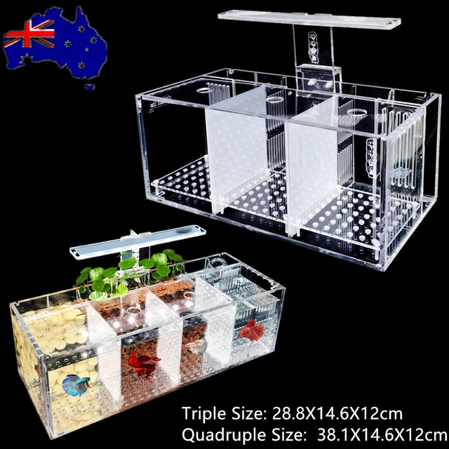 Aquarium Betta Fish Tank Fish Breeding Box Acrylic Fighting Fish Isolation Box