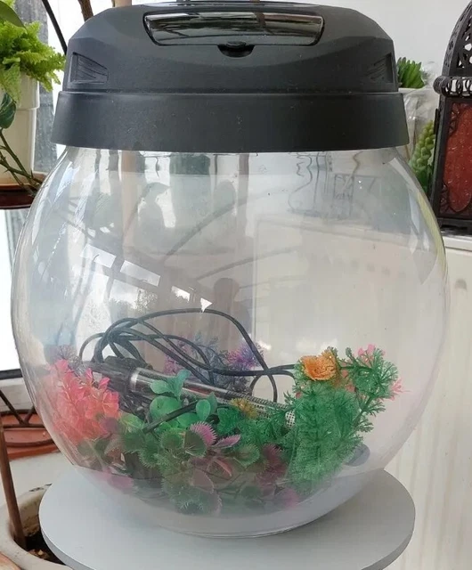 Aquael Round  34L Fish Tank